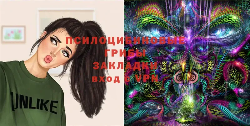 Псилоцибиновые грибы Magic Shrooms  купить наркотик  Верхняя Пышма 