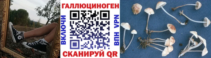 Псилоцибиновые грибы Magic Shrooms  это официальный сайт  Верхняя Пышма 