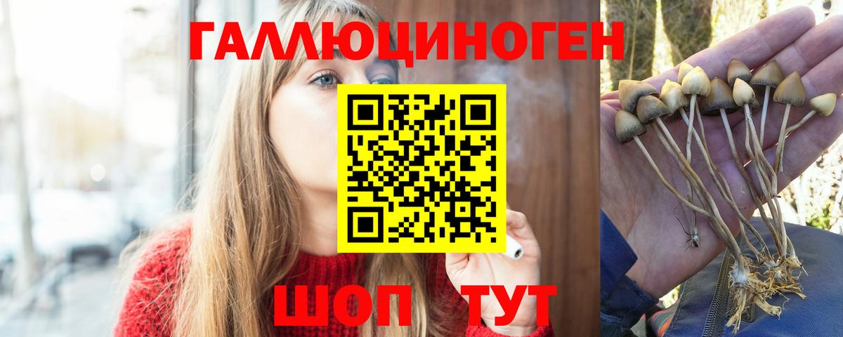 Псилоцибиновые грибы MAGIC MUSHROOMS Верхняя Пышма